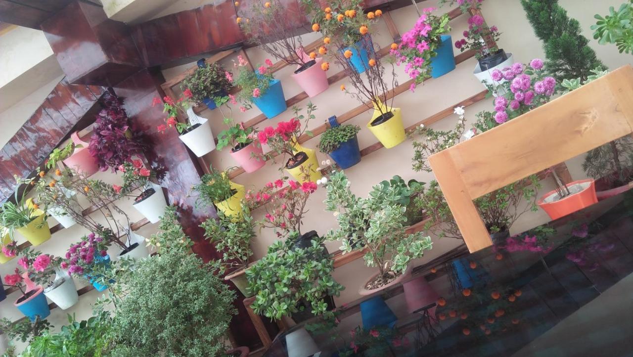 Shalom Inn Home Stay دارجيلنغ المظهر الخارجي الصورة