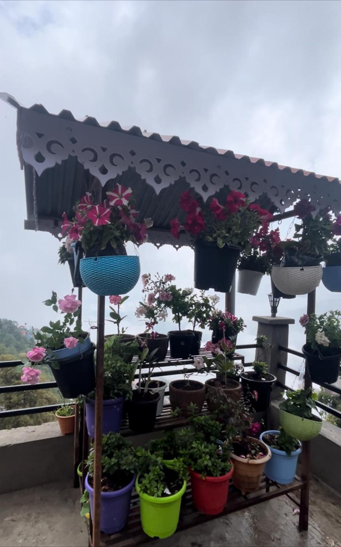 Shalom Inn Home Stay دارجيلنغ المظهر الخارجي الصورة